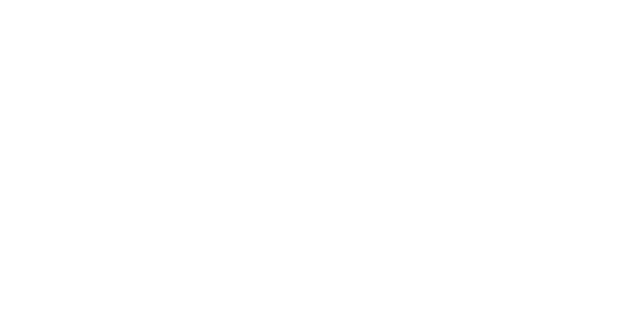 bitcoinnews logo white 